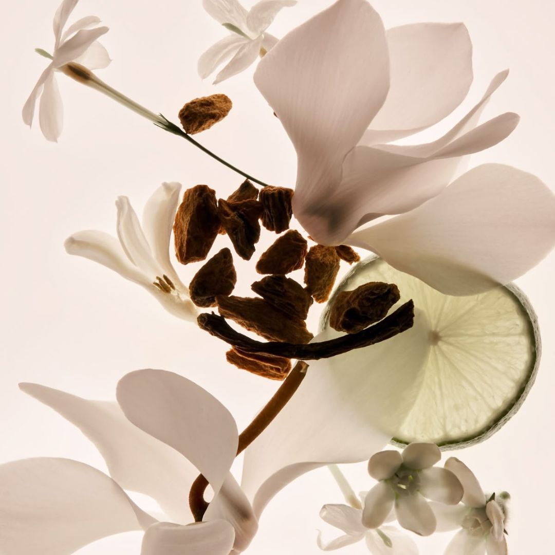 L'Enveloppante - Vanille Coco